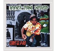 Inner Vibe Sound - Cointelpro