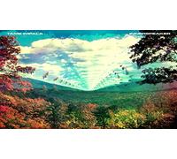 Tame Impala - Innerspeaker [VINYL]