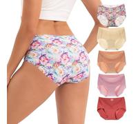 INNERSY Seamless Knickers for Women No Vpl Underwear Seam Free Ladies Full Briefs Pants Multipack 5 (16, Oriental Rouge Rhyme)
