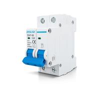 Innfeeltech 1 Pcs 40 Amp Current 230V Miniature Circuit Breakers MCB Double Pole for DIN Rail Mounting