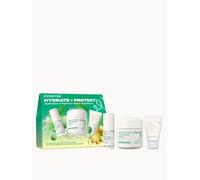 Innisfree Set Hydrate + Protect - Set Hydration And Daily Uv Protection 10 Ml + 10 Ml + 50 Ml