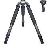 INNOREL LT324C Carbon Fiber Tripod 146cm Professional Heavy Duty Camera Tripod Max Tube 32mm Max Load 66Lb/30kg with 75mm Bowl Adapter Tripod Bag Spikes Ultra Stable Birdwatching (Tripod+BL75N) Black