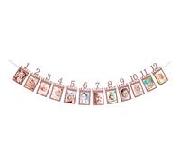 INNORU 12 Month Photo Banner for First Birthday,Rose Gold Monthly Milestone Photo Banner, 1st Birthday Banner for Newborn to 12 Months Growth Record