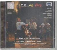 Innovation Chamber Ensemble (I.C.E) - I.C.E. on Fire