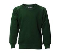 Innovation Schoolwear PSRJAM Series PSR Phoenix Poly/Cotton Sweatshirt, Jade, M Size