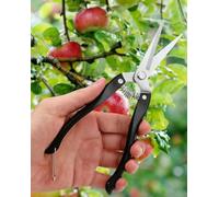 Innovative Garden Shears for Cutting Branches, Flowers, & Fruit Trees - The Perfect Tools for Professionals in Bonsai and Flower Shops! Black