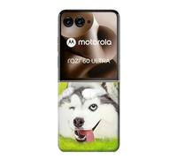 Innovedesire Kitten Cat Playful Siberian Husky Dog Paint Case Cover For Motorola Razr 60 Ultra, Razr Ultra 2025