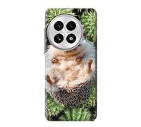 Innovedesire Pygmy Hedgehog Dwarf Hedgehog Paint Case Cover For OnePlus 13