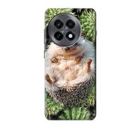 Innovedesire Pygmy Hedgehog Dwarf Hedgehog Paint Case Cover For OnePlus 13R