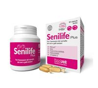 Innovet Senilife Plus - 60 Capsules Birillo - Support for Cerebral Well-Being of Elderly Dogs and Cats - Helps Memory and Cognitive Functions - With PEA-um, DHA, Vitamin E, Vitamin B6 and