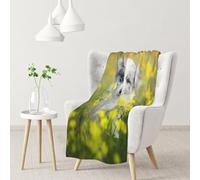 InOmak Australian Shepherd Dogs Mall White Puppy,Soft Blanket Warm Anti-Pilling Flannel Plush Throw Blanket 76 X 102 cm