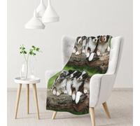 InOmak Australian Shepherd Small Puppies Quartet,Soft Blanket Warm Anti-Pilling Flannel Plush Throw Blanket 76 X 102 cm