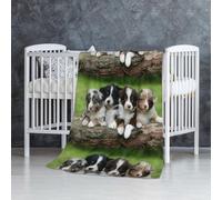 InOmak Australian Shepherd Small Puppies Quartet,Soft Blanket Warm Anti-Pilling Flannel Plush Throw Blanket 76 X 127 cm
