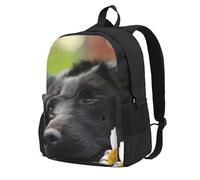 InOmak Black Labrador Chamomile Black Retriever Dogs, Backpack With Pockets Casual Daypack Water Resistant School Bag for Travelling, Hiking, or Camping