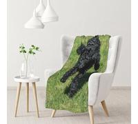 InOmak Black Standard Poodle,Soft Blanket Warm Anti-Pilling Flannel Plush Throw Blanket 76 X 102 cm
