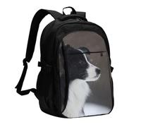 InOmak Border Collie Dog Spotted Snow, Travel Backpack Casual School Bags Laptop Rucksack With USB Charging Port For Men Women