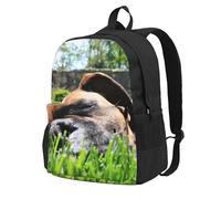 InOmak Boxer Dogs Green Grass Pets Lawn Dogs, Backpack With Pockets Casual Daypack Water Resistant School Bag for Travelling, Hiking, or Camping