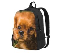InOmak Cavalier King Charles Spaniel Brown Curly Dogs, Backpack With Pockets Casual Daypack Water Resistant School Bag for Travelling, Hiking, or Camping