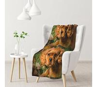 InOmak Cavalier King Charles Spaniel Brown Curly Dogs,Soft Blanket Warm Anti-Pilling Flannel Plush Throw Blanket 76 X 102 cm