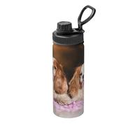 InOmak Cavalier King Charles Spaniel White Brown Dogs 18 Oz Water Bottle Insulated Stainless Steel Mug Vacuum Tumbler Water Flask