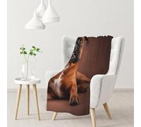 InOmak Cool Lying Boxer Dog,Soft Blanket Warm Anti-Pilling Flannel Plush Throw Blanket 76 X 102 cm