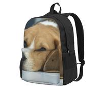 InOmak Cute Beagle Dog Lies On Floor, Backpack With Pockets Casual Daypack Water Resistant School Bag for Travelling, Hiking, or Camping