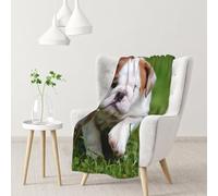 InOmak Cute Bulldog Puppy,Soft Blanket Warm Anti-Pilling Flannel Plush Throw Blanket 76 X 102 cm