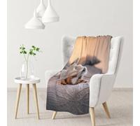 InOmak Cute Little Dog Jack Russell Terrier,Soft Blanket Warm Anti-Pilling Flannel Plush Throw Blanket 76 X 102 cm