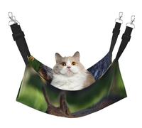 InOmak Cute Squirrel,Cat Hanging Hammock Soft Double Sided Hanging Bed for Small Dogs Pet,M