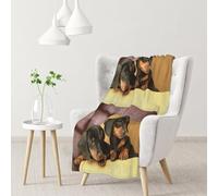 InOmak Cute Two Dachshund Dog Print,Soft Blanket Warm Anti-Pilling Flannel Plush Throw Blanket 76 X 102 cm