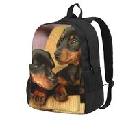 InOmak Dachshund Puppies Pets Dogs Small Dachshund, Backpack With Pockets Casual Daypack Water Resistant School Bag for Travelling, Hiking, or Camping