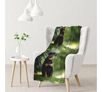 InOmak French Shepherd Dogs Beauceron Black Puppy Cute,Soft Blanket Warm Anti-Pilling Flannel Plush Throw Blanket 76 X 102 cm