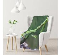 InOmak Green Praying-Mantis,Soft Blanket Warm Anti-Pilling Flannel Plush Throw Blanket 76 X 102 cm