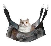 InOmak Laid-Back Koala,Cat Hanging Hammock Soft Double Sided Hanging Bed for Small Dogs Pet,L