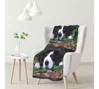 InOmak Lovely Bernese Mountain Dog,Soft Blanket Warm Anti-Pilling Flannel Plush Throw Blanket 76 X 102 cm