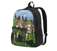 InOmak Small Donkey Meadows, Backpack With Pockets Casual Daypack Water Resistant School Bag for Travelling, Hiking, or Camping