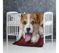 InOmak Welsh Corgi Dog,Soft Blanket Warm Anti-Pilling Flannel Plush Throw Blanket 76 X 127 cm