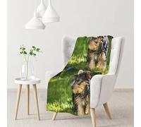 InOmak Yorkshire Terrier Green Grass Cute Dogs,Soft Blanket Warm Anti-Pilling Flannel Plush Throw Blanket 76 X 102 cm