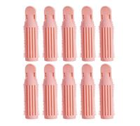 INOOMP 10pcs Hair Root Volumizing Clips for Bangs Hair Curlers and Styling Tools and Root Lift Suitable