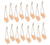 INOOMP 16pcs Salt Blocks Cows Deer Natural Mineral Licking Salt for Feeding for Livestock Nutrition and Deer