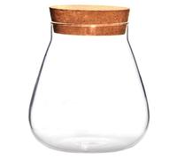 INOOMP 1Pc Clear Terrarium Bottle with Cork Decorative DIY Succulent Pot for Home Decor Tabletop Display and Creative Candle Holder for Moss Micro Landscape and Art Crafts
