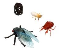 INOOMP 1set Cicada Life Cycle Figurines Realistic Educational Toy for Boys and Girls Stages of Development for Learning Goodie Bag Fillers and Desktop Decor