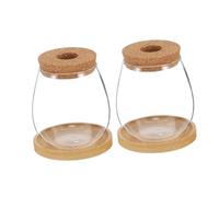 INOOMP 2 Sets Hydroponic Planter Bottles with Bamboo Saucers Clear Borosilicate Glass Micro Landscape Vases for Herb Growing Root Observation Propagation Station Indoor Desktop Plant