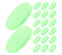 INOOMP 30pcs Crab Sea Sponges Accessories Providing Nutrients Accessories for Maintaining Tank Humidity Pads for Crabs Habitat