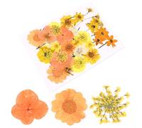 INOOMP 40 Pcs Natural Dried Pressed Flowers DIY Craft Material Pack for Decoration with Elegant Orange Flowers Suitable for Parties and Corporate Events