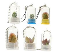 INOOMP 6pcs Miniature Glass Plant for Keychains Propagation Holders for Plants and Decorative Accessories Easy to and Store