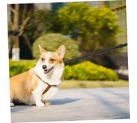 INOOMP Dog Leash with Double Handles for Small and Medium Dogs Twist Outdoor Walking Lead Comfortable Non Slip Traction Rope for Pet Control and Easy Tangle Prevention