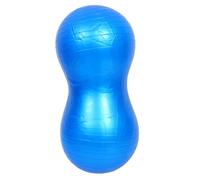 INOOMP Exercise Yoga Ball with Pump Anti-burst Stability Trainer for Sensory Training Balance Strength and Flexibility Development Fitness Equipment for Rehabilitation and Full-body