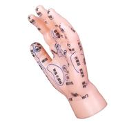 INOOMP Hand Acupuncture Training Model Realistic Pvc Reflexology Hand Model for Tcm Teaching with Accurate Display, Educational Aid for Students and Beginners
