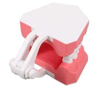 INOOMP Plastic Teeth Practice Model with Realistic Oral Structure for Dental Education, Sturdy Pink Plastic Tooth Model Suitable for Schools and Homes Teaching Demonstration